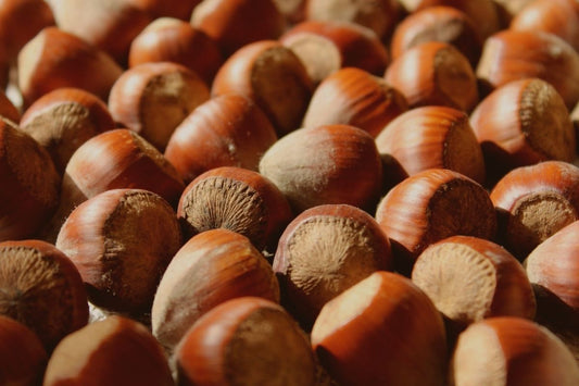 Por Qué el Aceite de Avellana es el Corazón de Casa Ruff